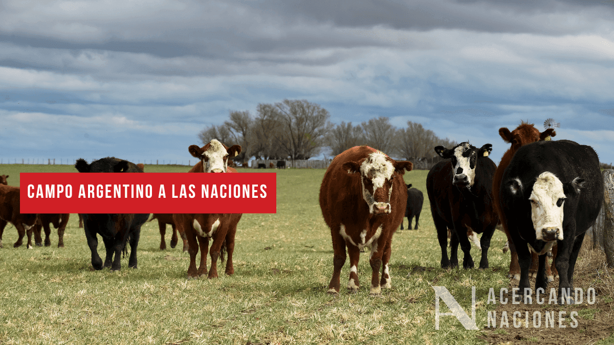 Argentina reduce retenciones y lanza créditos para el campo